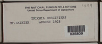 Image Associated With the Occurence